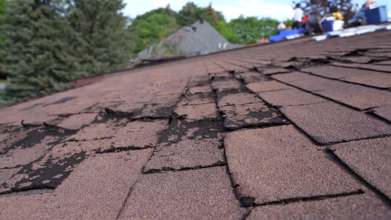 Best Storm Damage Roof Repair  in Sturtevant, WI