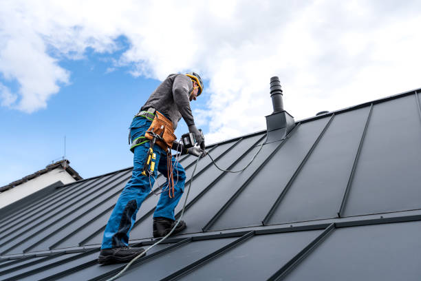 Best Asphalt Shingle Roofing  in Sturtevant, WI